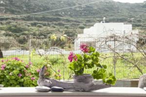 Brezza Apartment B, Karpathos Town