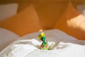 Apart Hotel Garni Alvetern, Samnaun