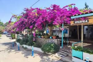 Umayra Hotel, Torba