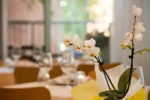Hotel Rosanna, Lido di Jesolo