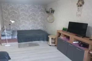 Odnakomnatnaya Kvartira V Tsentre Flat, Izhevsk
