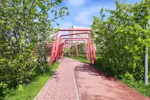 Zefirnye oblaka Mechnikova Al'brekhta Botkinskaya Skoliolodzhik Scolio Flat, St. Petersburg