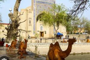 Mar.s Guest House, Bukhara