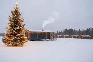 Recreation center "Lipovyy tsvet", Zavyalovo