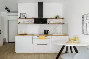 Studiya Na Beregu Reki Flat, Krasnogorsk