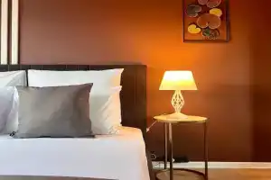 Udachnaya s Proektorom i Booolshoj Krovatyu Flat, Moscow