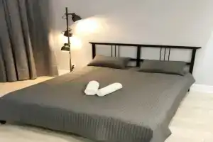 Lebedev Loft na prospekte Raketostroiteley 3 Apartment (1), Dolgoprodnyy