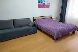 Uyutnaya Odnokomnatnaya Flat, Kursk