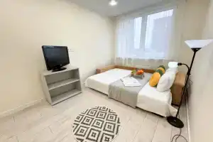 S zaseleniem 24/7 luchshiy servis posutochno 50 Flat, Moscow