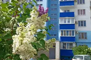 Komfort i domashniy uyut 116 Apartments, Volzhsky