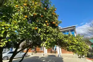 Fortuna Guest House, Pitsunda