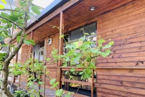 Komfortnyy domik u morya Guest House, Novyjj Afon