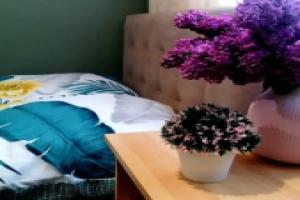 Uyutnye na Gagarina Apartments, Konakovo