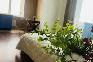 Uyutnaya U Demyyanovskogo Parka Flat, Klin