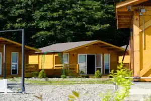 Teplye Nochi Guest house, Sukhumi