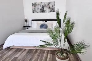 V Zhilom Komplekse Tsvetnoy Bulvar Flat, Kaliningrad