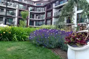 S Vidom Na More Ryadom S Plyazhem Apartments, Pomorie