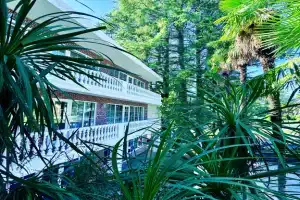 Hotel KEDR, Pitsunda