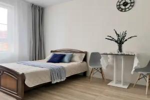 Studiya Ul. 65 Let Pobedy, 4-43 Tsentr Kakdoma Flat, Kaluga