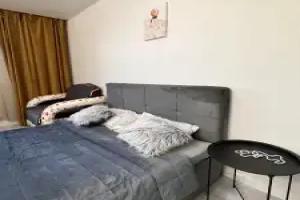 Svetlaya S Udobnoy Krovatyyu Flat, Vladimir