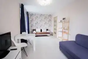 2 Komnatnaya Olivinn V Spal'nom Rajone Flat, Petrozavodsk