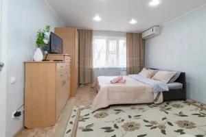 Odnokomnatnaya v samom tsentre Pavlodar Flat, Pavlodar