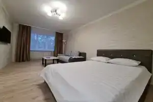 V tsentre na pereulke Buyanova 4 Apartments