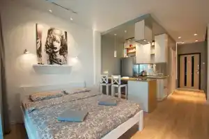 Aparton na Nikoly Tesly 26 Apartments