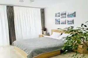 Briz Na Beregu Finskogo Zaliva Flat, Kronshtadt