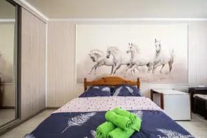 Tsentralnaya 6/2 Apartments, Shchelkovo