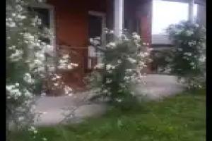 Pogreb Dedushki Gigo Guest house, Kvareli