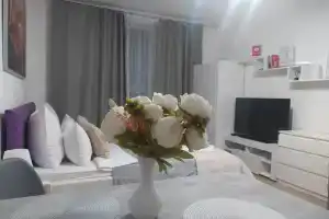 Tikhie Uyutnye Apartamenty Dlya Spokoynogo Otdykha Flat