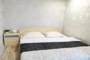 Uyutnaya v Tsentre Goroda Flat, Zavolzhye