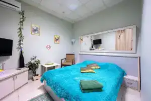 Limon Na Shostakovicha Mini-hotel, Pargolovo