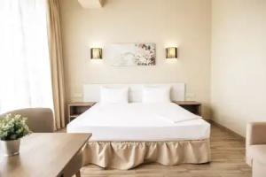 Central Inn Conference Hotel, Stavropol