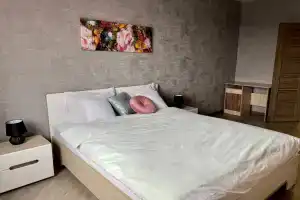 Tolstoy Novomoskovskaya Flat, Tula