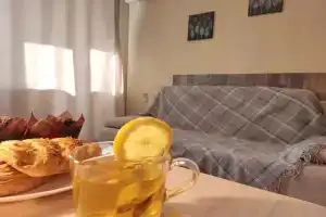 Uyutnaya Studiya V Skandinavskom Stile Apartments 1, Kurgan