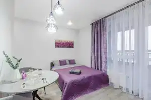 Uyutnaya Studiya na Gorykovskom Shosse Flat, Kazan