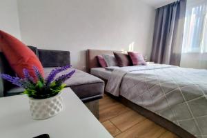 Dvukhkomnatnaya kvartira v novom sovremennom Zhk Yablonevye sady Flat, Voronezh