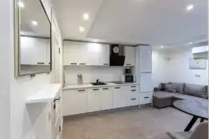 4.16 Studio Vinograd Apartments, Sochi