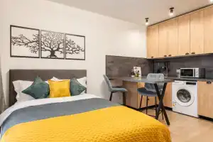 Vidovaya Studiya Na Bolshoy Ochakovskoy Flat, Moscow