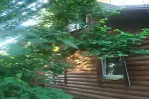 "Vinnaya Derevnya" Glamping, Zelenogradsky