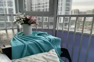 Petrovskiy 3 Apartments