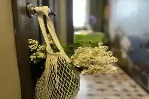 Uyutnaya na Shishkova Flat, Voronezh