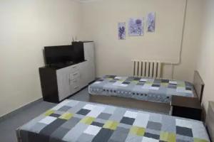Apartamenty na Metallistov, Pskov