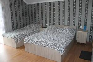 Akaki's Guesthouse, Borjomi