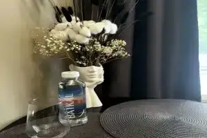 Studiya Flat, Moscow