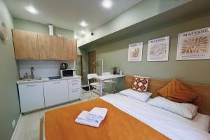 Komfortnaya Studiya U Metro Flat, Moscow