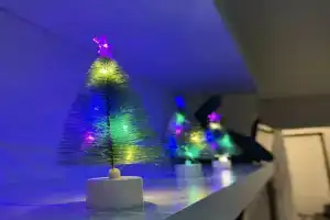 Uyutnaya v Kurortnoy Zone Flat, Kotel'niki