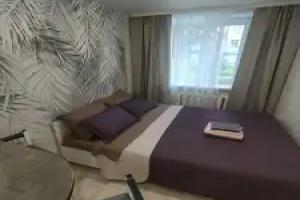 Studiya ryadom s parkom Flat, Berdsk